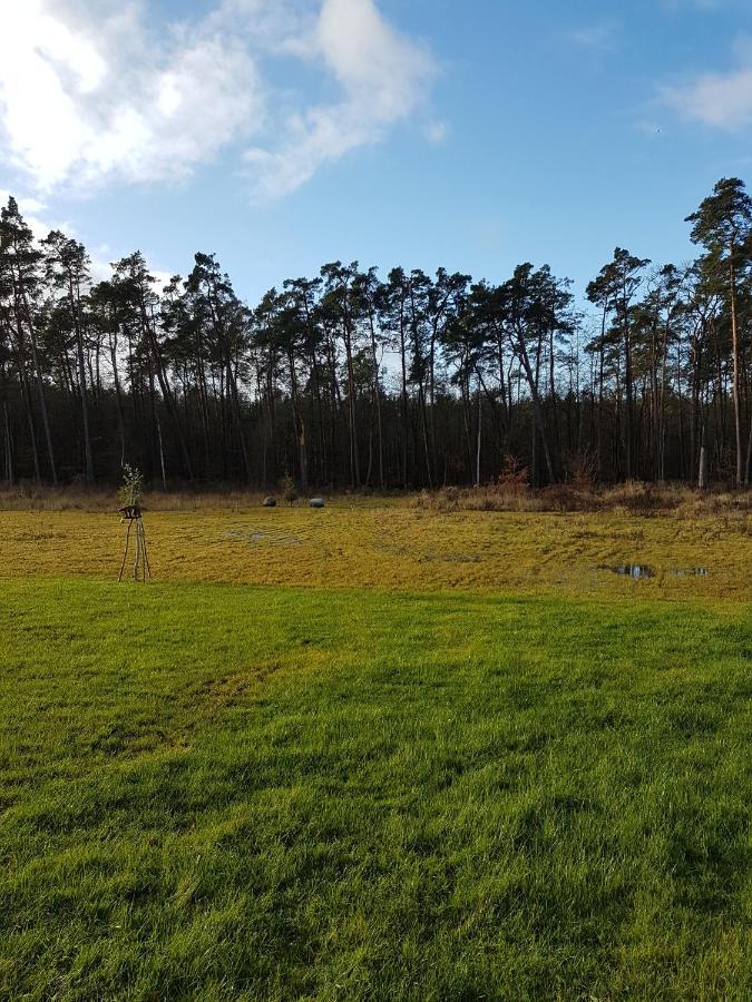 Sonnenstrahl Im Kuestenwald Gelbensande Kültér fotó