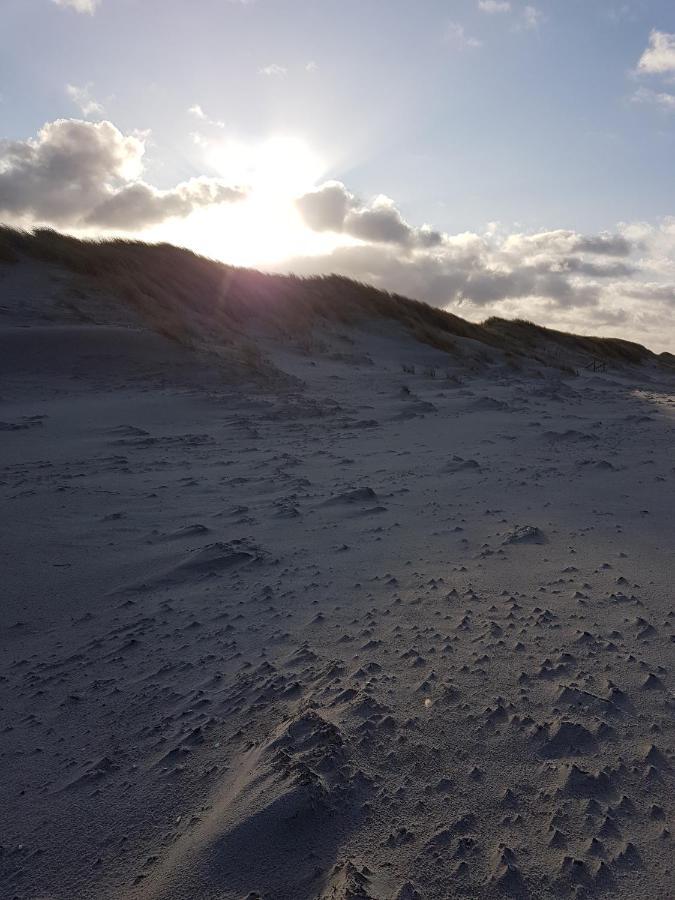 Sonnenstrahl Im Kuestenwald Gelbensande Kültér fotó
