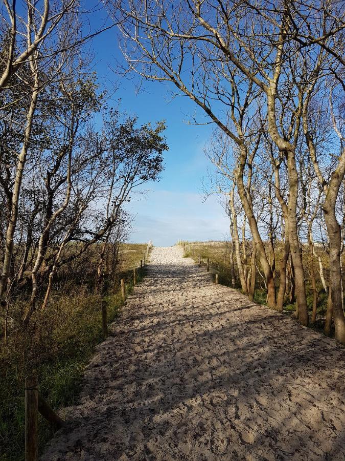Sonnenstrahl Im Kuestenwald Gelbensande Kültér fotó